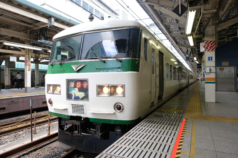 185系 踊り子 東京駅
